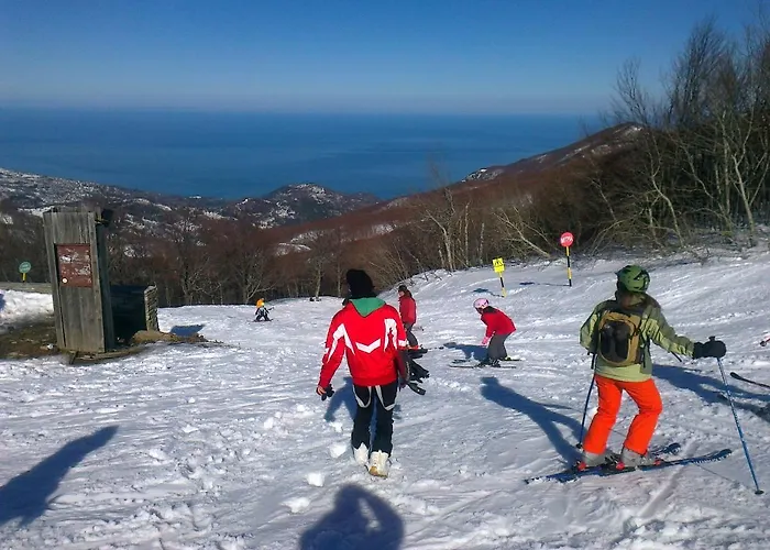 Country Estate With Pool Σπίτι διακοπών Τσαγκαράδα